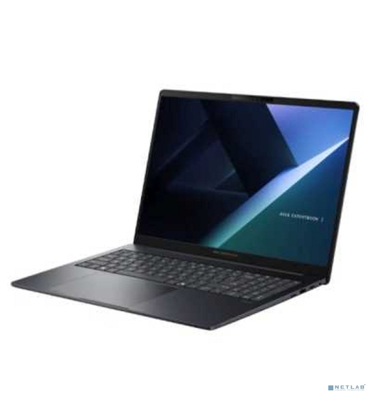 Ноутбук ASUS ExpertBook B5 B5605CCA-PL0126/16'/IPS/Intel Core Ultra 7 255H/16GB/512GB SSD/Intel Arc/DOS/серый/1.75kg
